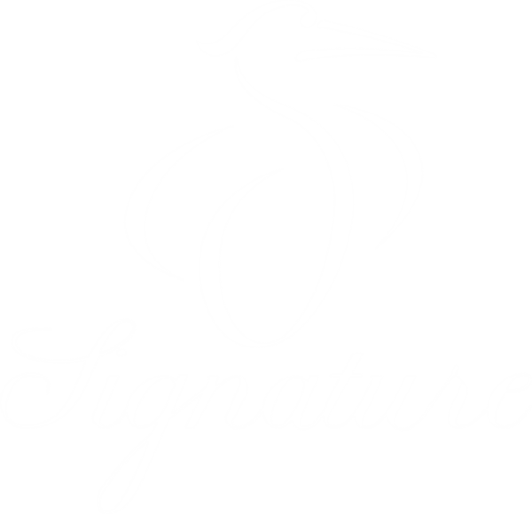 Signature of Solon Logo